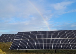 A rainbow over a field with solar panels.